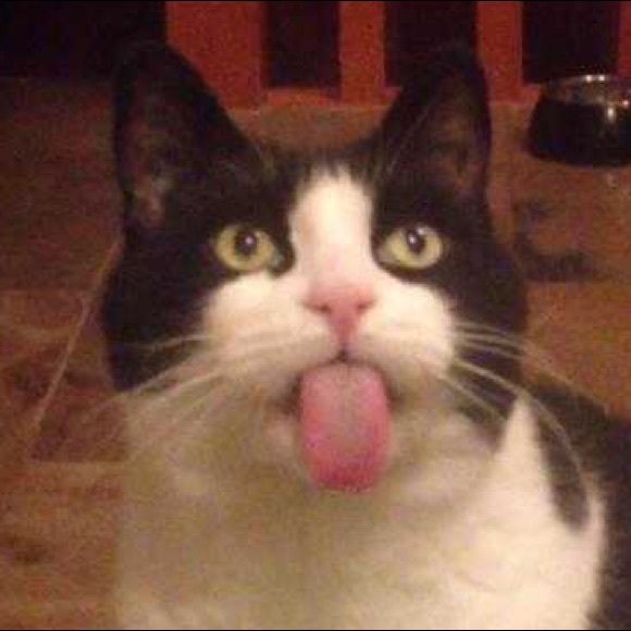 Meet your Posher, Amber - Picture 1 of 1